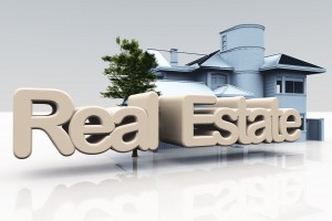Real Estate in Leesburg VA and Looking for a Home With a Home Office